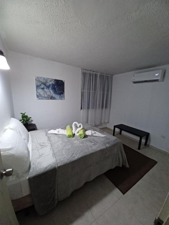 ריו גראנדה Family House Rain Forest And Beaches Pet Friendly מראה חיצוני תמונה